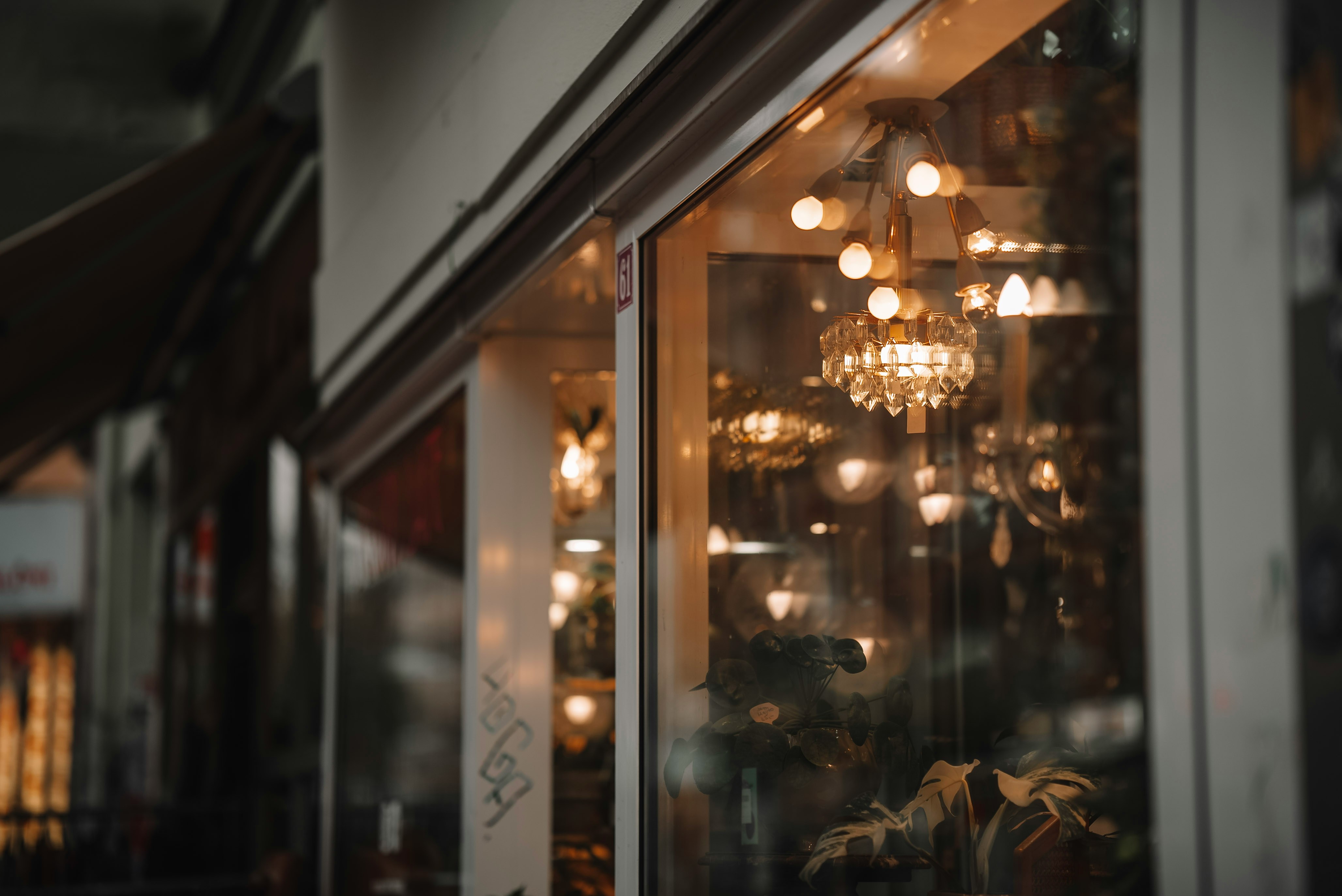 A storefront window with warm hanging lights and plants inside